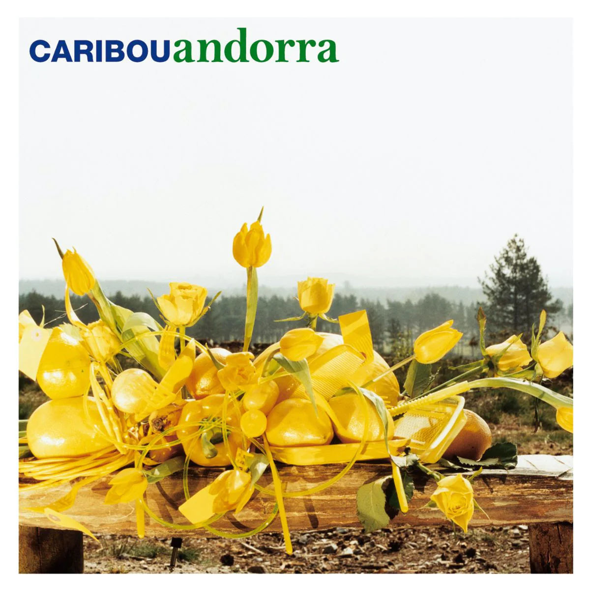 Caribou Andorra vinyl record, black vinyl LP