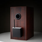 Pro-Ject Wireless Box E Bluetooth and Wi-Fi audio receiver connected to a home audio system.