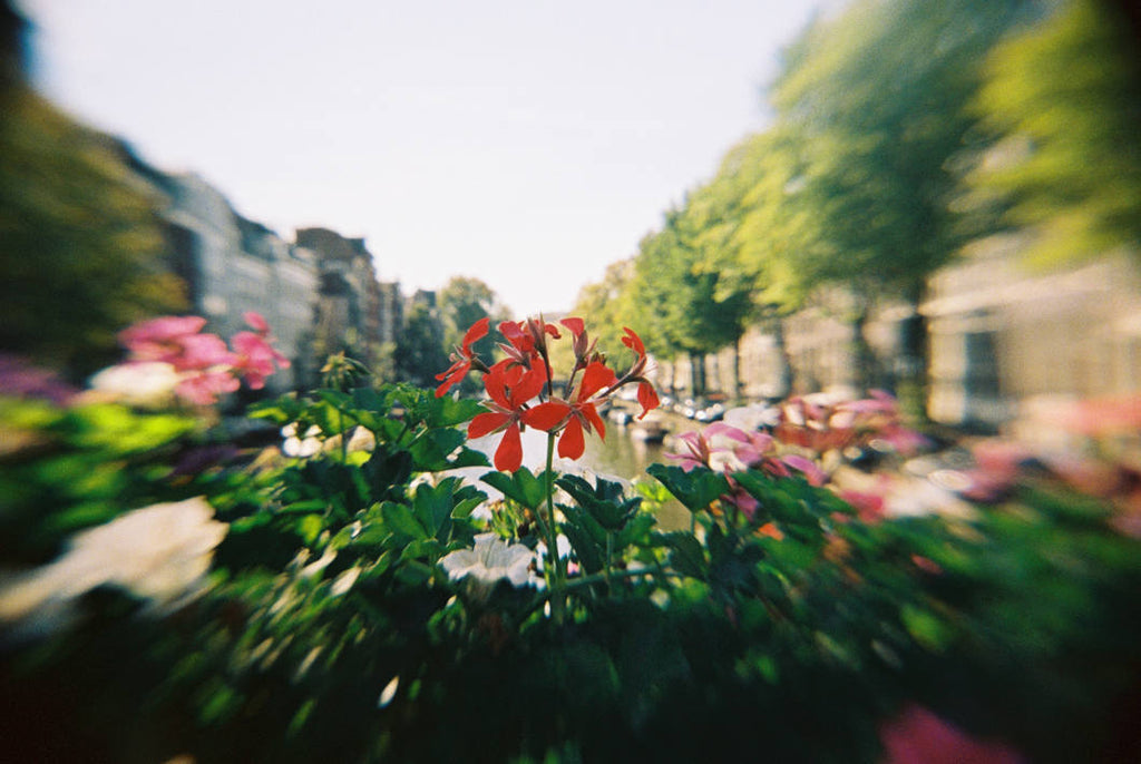 Ilford Pixie 35-II compact instant camera with colorful design, ready for capturing fun photos.