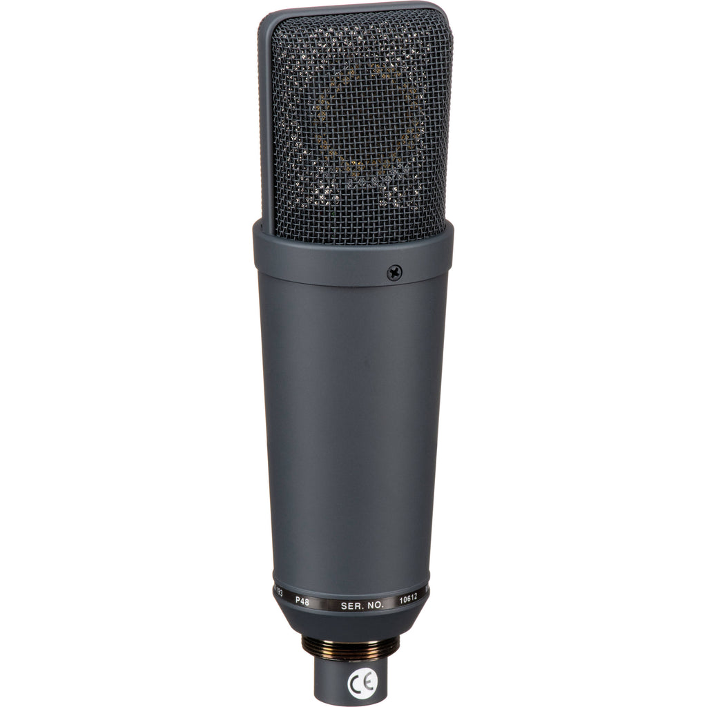 Neumann TLM 193 condenser microphone on a stand, showcasing its sleek design and professional studio recording equipment.
