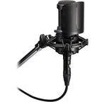 Audio Technica AT8175 microphone pop filter attached to a microphone, reducing plosive sounds during vocal recording.