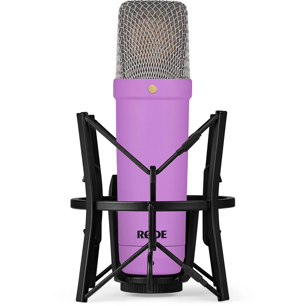 Rode NT1 Signature Series condenser microphone with metal grille and studio shock mount for professional vocal and instrument recording.