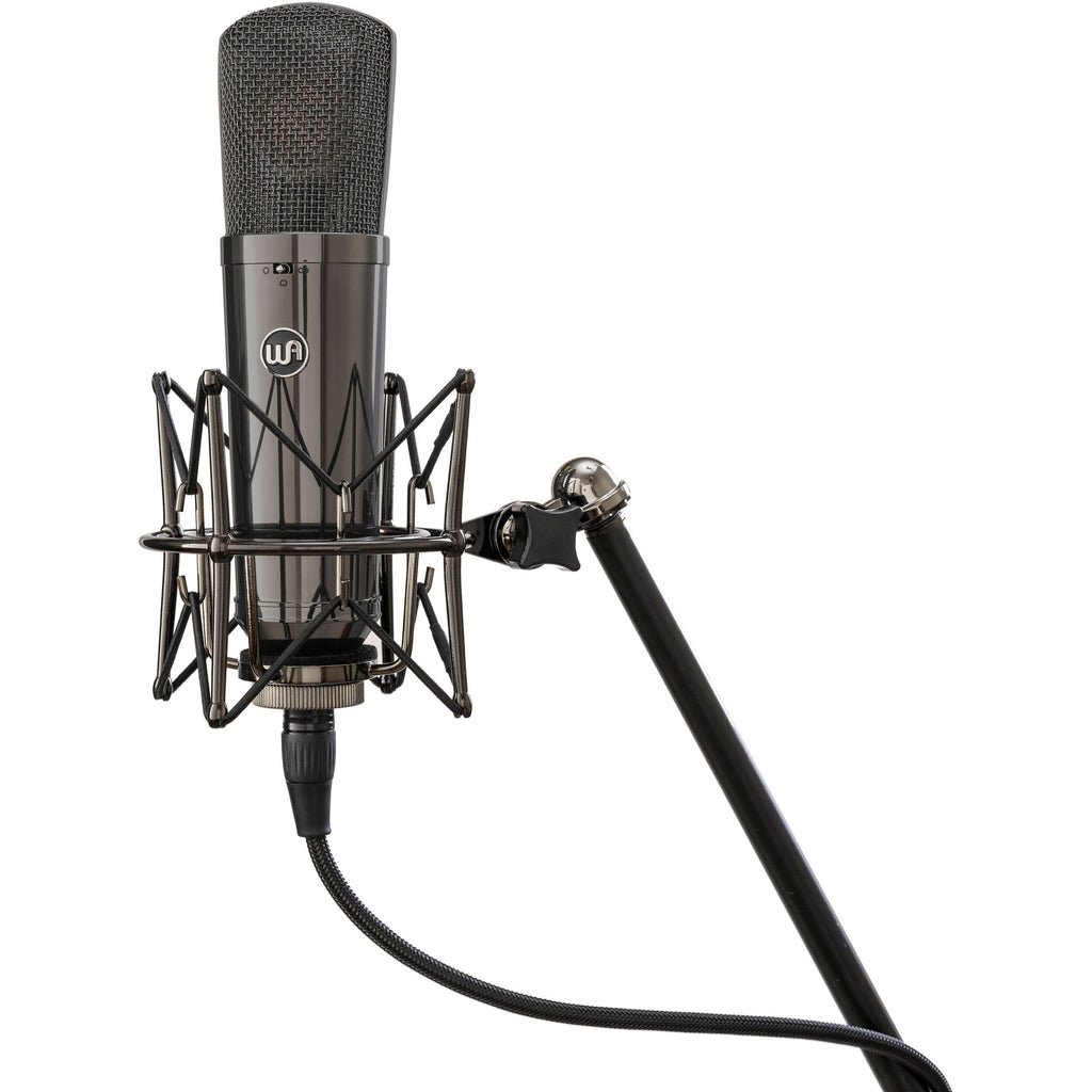 Stereo pair of Warm Audio WA-87 R2 TS condenser microphones with gold finish and shock mounts for studio recording.