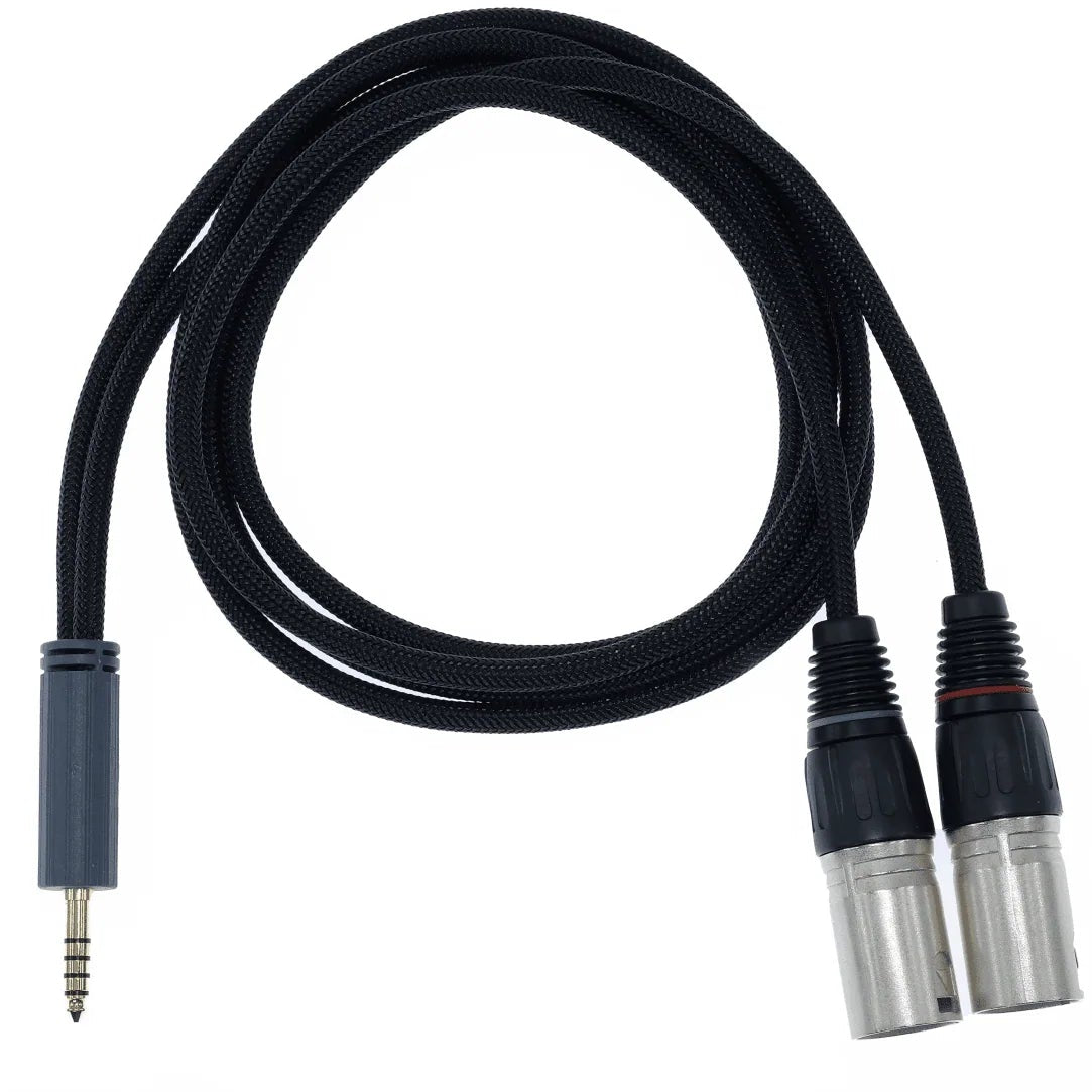 iFi Audio 4.4mm to XLR Cable SE 1m, showcasing the connectors and cable design for high-quality audio connections.