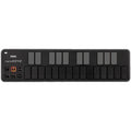 Korg NanoKey2 black MIDI keyboard with 25 velocity-sensitive keys and compact design for music production and performance.