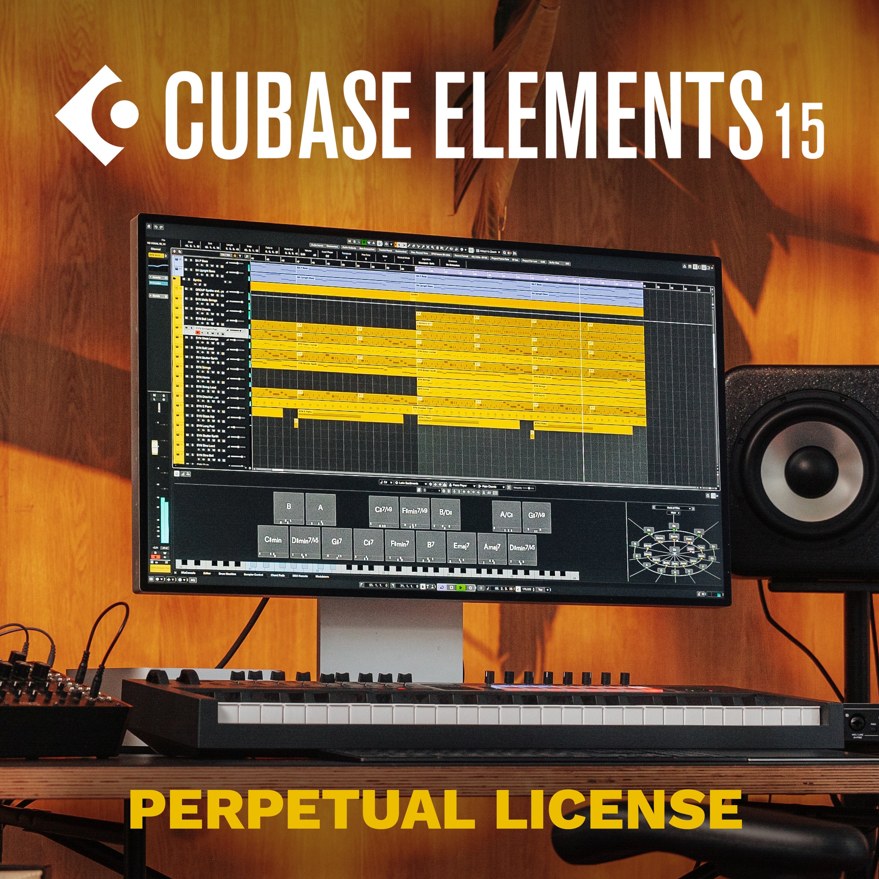 Steinberg Cubase Elements 15 DAW software perpetual license box with software disc and user manual for music production.