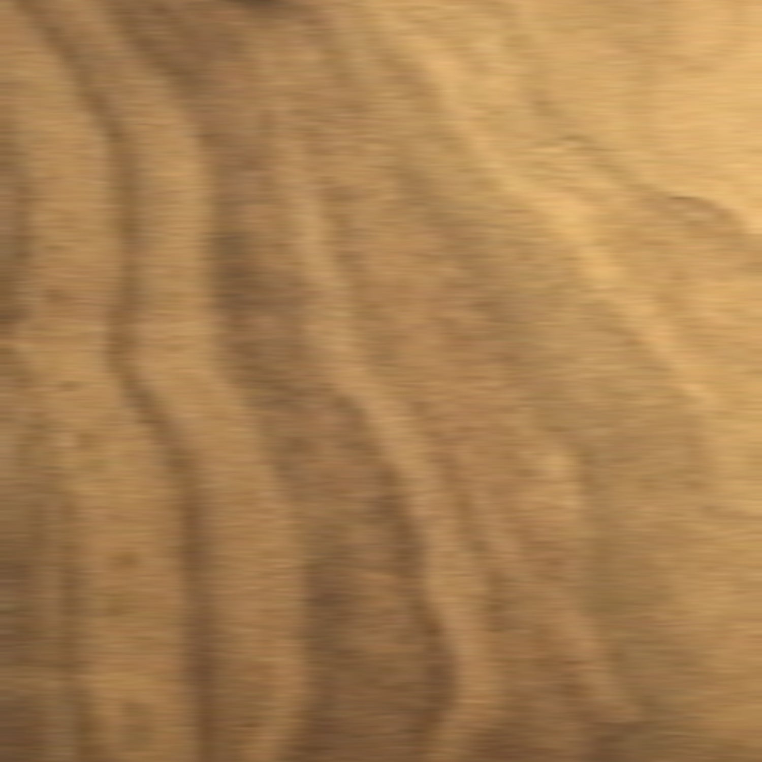 American Walnut wood finish sample