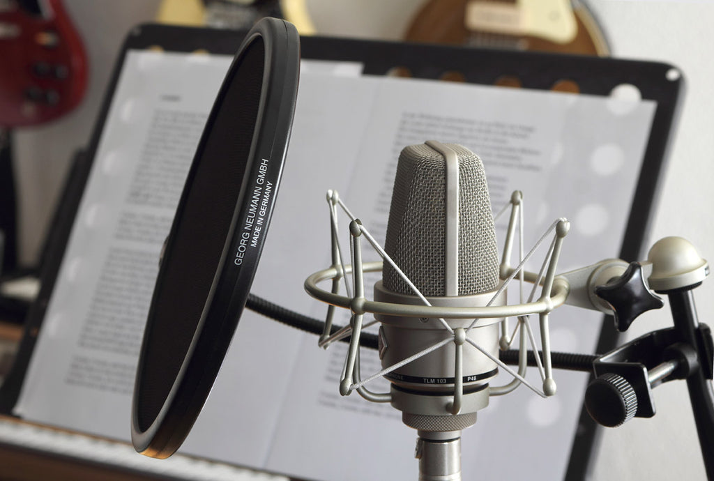 Neumann TLM 103 Studio Set condenser microphone