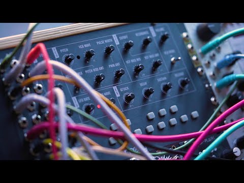 Moog Mavis
