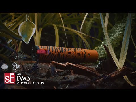 sE Electronics DM3