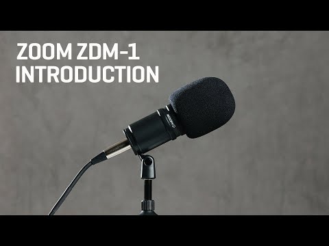 Zoom ZDM-1