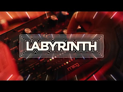 Moog Labyrinth