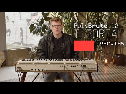 Arturia PolyBrute 12