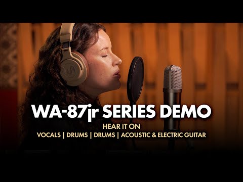 Warm Audio WA-87jr SE