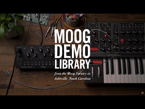 Moog Spectravox