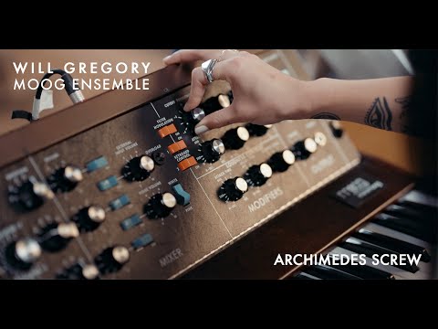 Moog Minimoog Model D