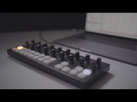 Torso Electronics T1