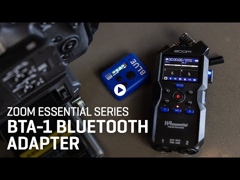 Zoom BTA-1
