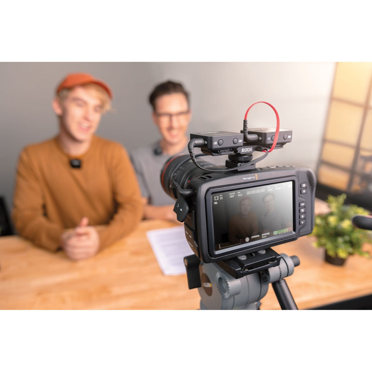 RØDE Rode SC11, adapters / splitters, angle