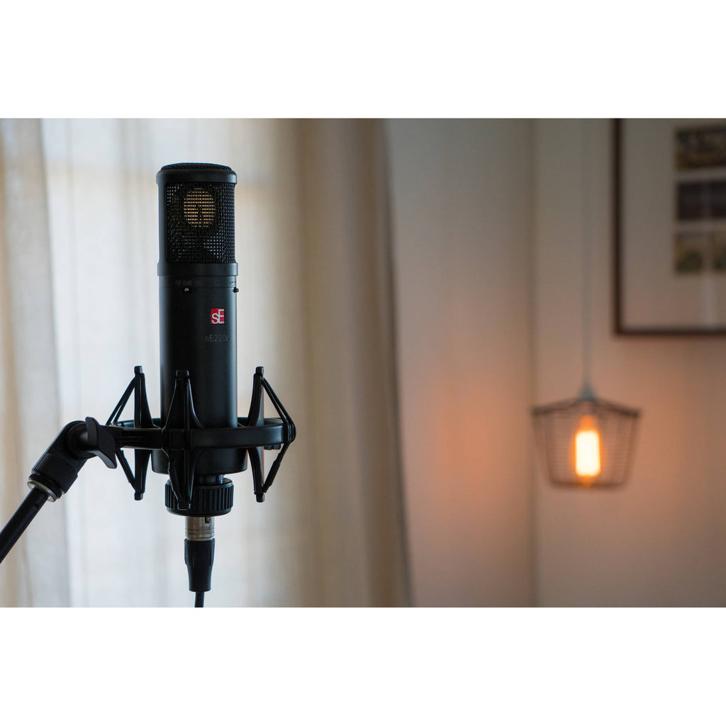 sE Electronics sE2200 condenser microphone, gold view
