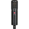 sE Electronics sE2200