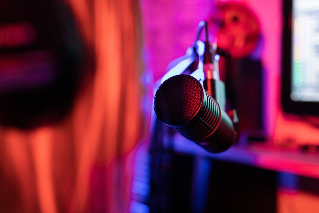 sE Electronics DynaCaster DCM8 dynamic microphone with metal grille and black body, designed for professional vocal and instrument recording.