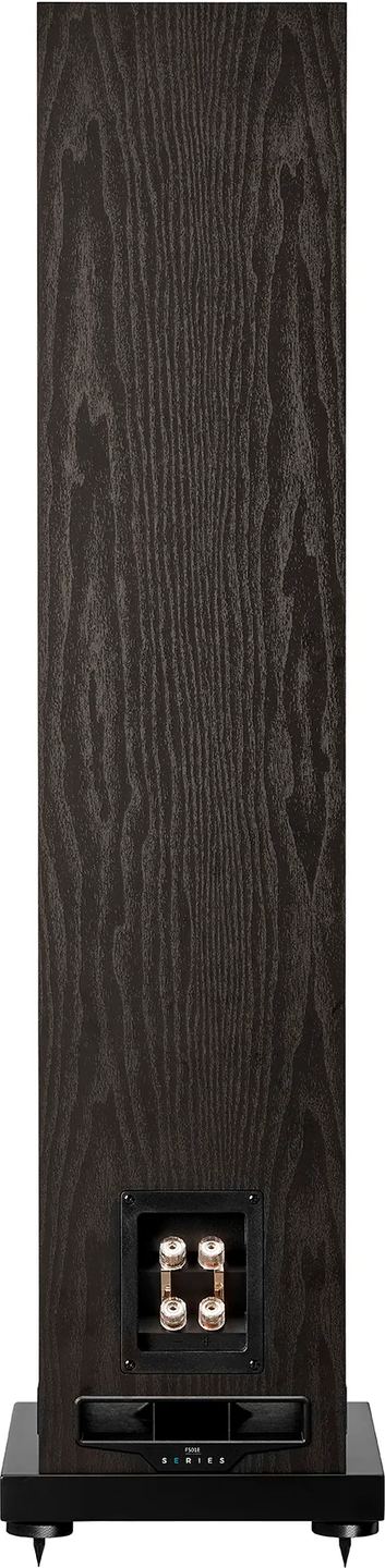 Fyne Audio F501E passive floorstanding speakers with sleek black cabinets and stylish design, ideal for home audio systems.