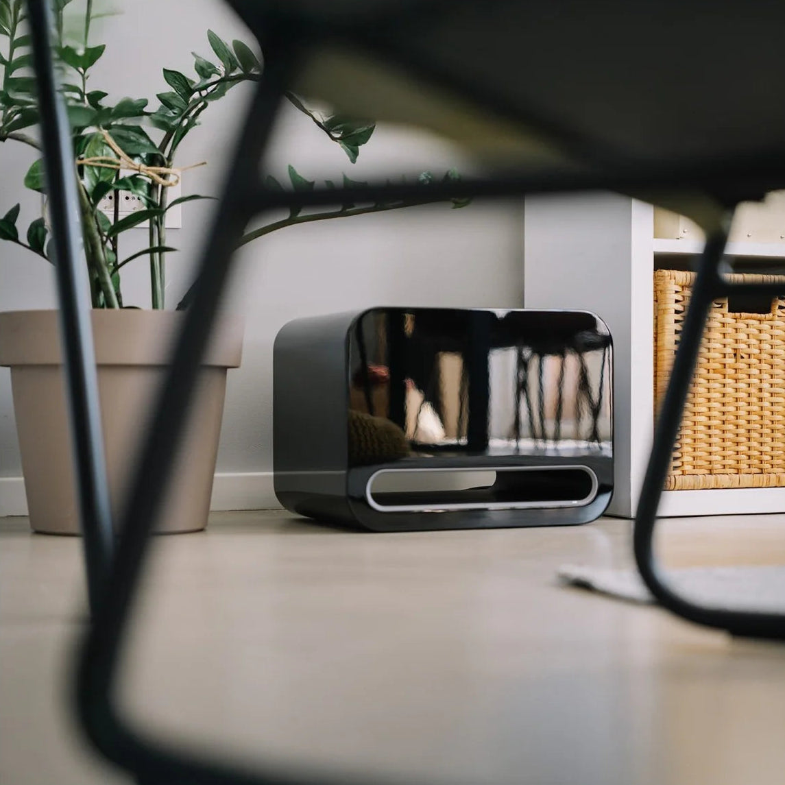 WiiM Sub Pro wireless smart subwoofer in black with 8-inch driver and 250W power, featuring Wi-Fi and Bluetooth connectivity.