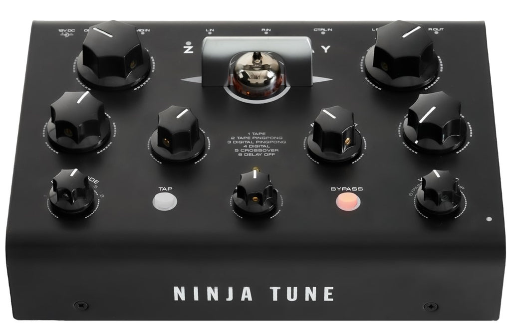 Erica Synths Zen Delay effects pedal with controls and input/output jacks, designed for guitar and music production.