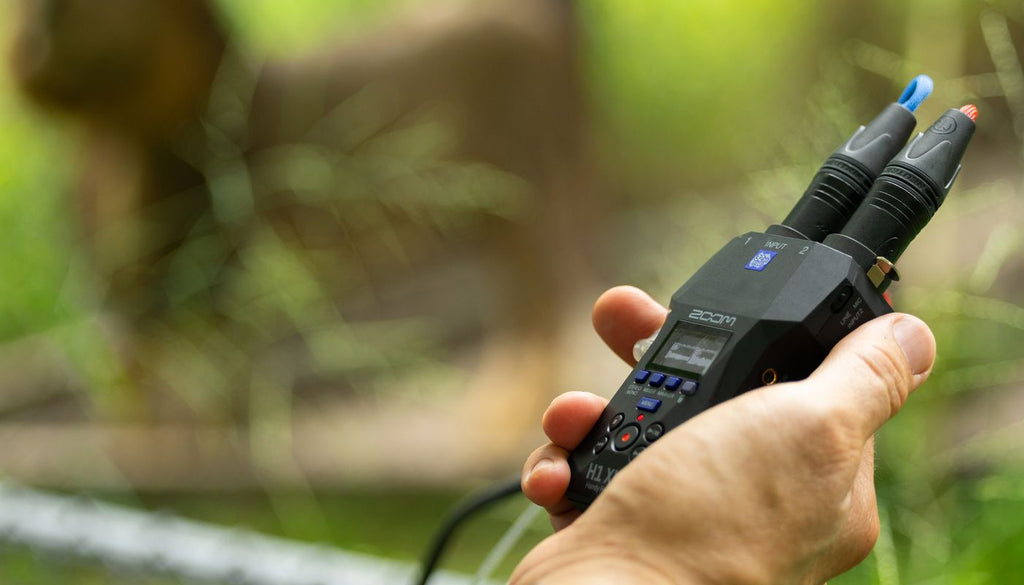 Zoom H1 XLR field recorder, close-up detail.